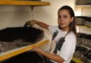 Ana se vratila iz Austrije u Gornji Vakuf/Uskoplje gdje živi od uzgoja gljiva