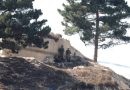 Nakon krvavog vikenda Izrael najavio primirje i nastavak pomoći Gazi