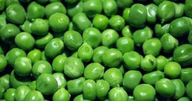 Sitan, ali moćan: Nutricionisti tvrde da ovu namirnicu trebamo jesti češće